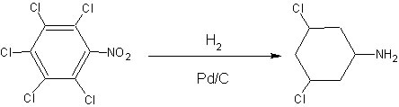 palladium catalyst for 



                              reductive alkylation